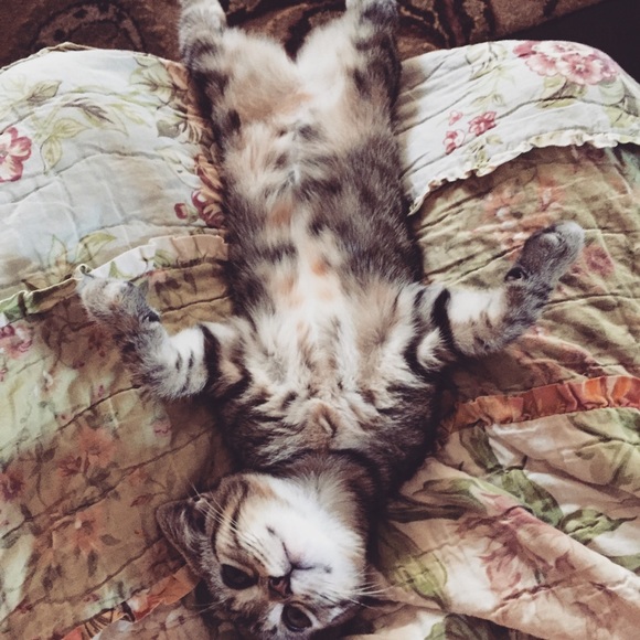 Meet your Posher, Danielle - Picture 2 of 10